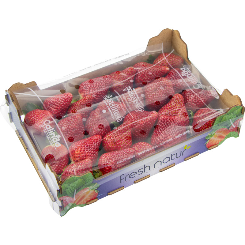 FRAISE CALINDA 1KG